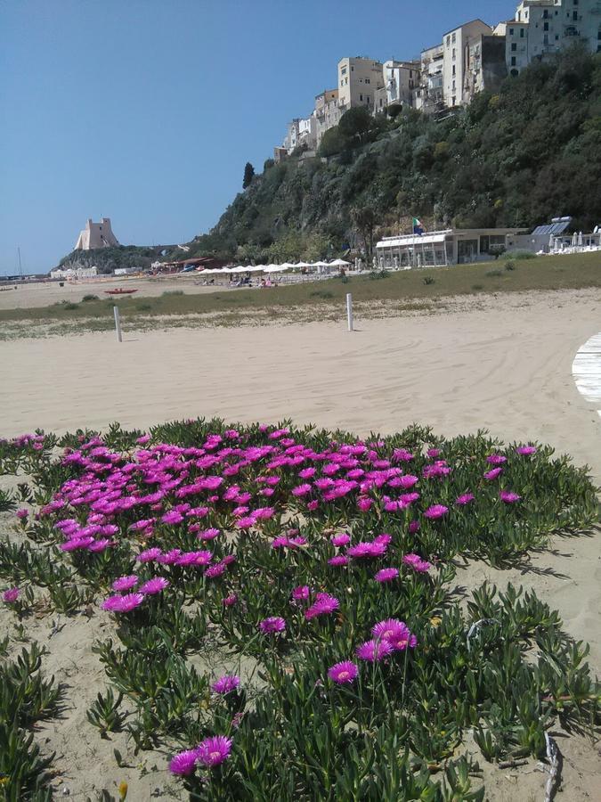 Flat Low Cost Sperlonga Bagian luar foto